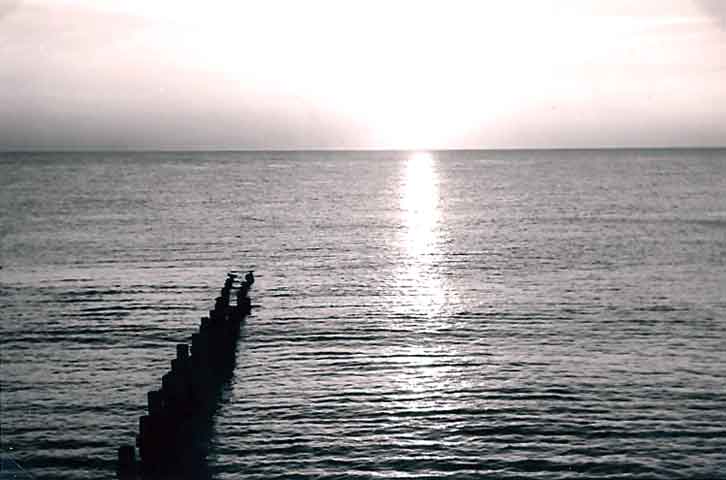 93sqnpic842.jpg, 27657 bytes